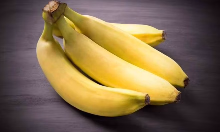 Buah Pisang Memiliki Manfaat Nutrisi Jika Di Konsumsi! Yuk Simak