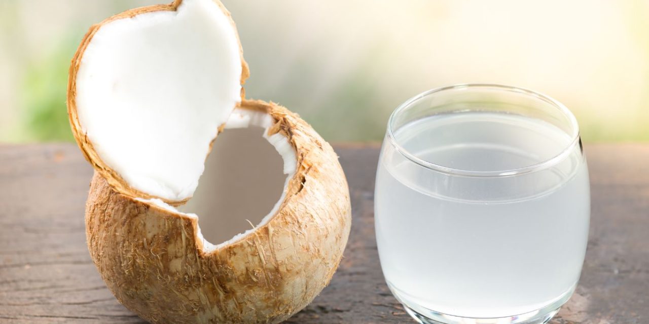 Air Kelapa Menjadi Pilihan Tepat Untuk Kamu Konsumsi Tiap Hari