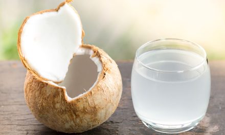 Air Kelapa Menjadi Pilihan Tepat Untuk Kamu Konsumsi Tiap Hari