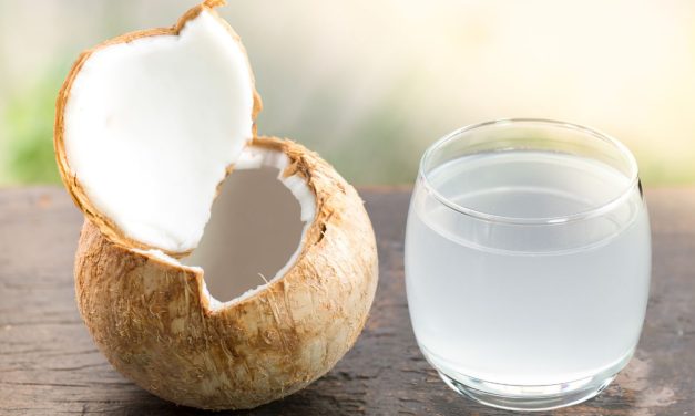 Air Kelapa Menjadi Pilihan Tepat Untuk Kamu Konsumsi Tiap Hari