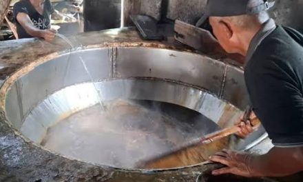 Proses Pembuatan Kecap Dari Kedelai Dan Manfaatnya Kesehatan