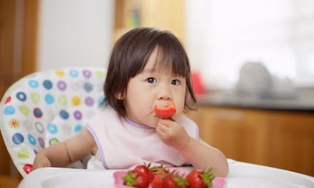 Free Nutritious Meals Di Percaya Mampu Mengatasi Stunting Loh